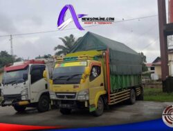 Diduga Adanya Truck Kayu Ditahan di Mapolres Kapuas Hulu Milik Arik Ambawang Menggunakan Document Scan Berulang-ulang.