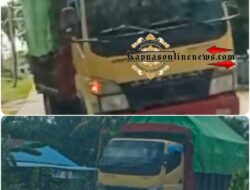 Truk Canter Siluman Angkut Kayu Ulin Ilegal di Kalimantan Barat