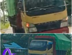 Truk Canter Siluman Angkut Kayu Ulin Ilegal di Kalimantan Barat