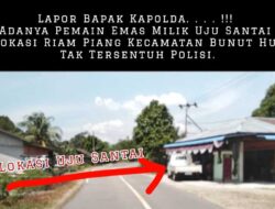 Lapor Bapak Kapolda. . . . !!! Adanya Pemain Emas Milik Uju Santai Di Lokasi Riam Piang Kecamatan Bunut Hulu, Tak Tersentuh Polisi.