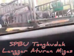 Diduga SPBU Tengkudak No 64.787.03, Langgar Aruran Migas, APH Tutup Mata. .